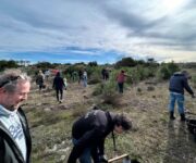 “Replantar para Acelerar o Futuro!” – Sucesso na Ação de Reflorestação no Pinhal de Leiria