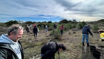 "Replantar para Acelerar o Futuro!" – Sucesso na Ação de Reflorestação no Pinhal de Leiria