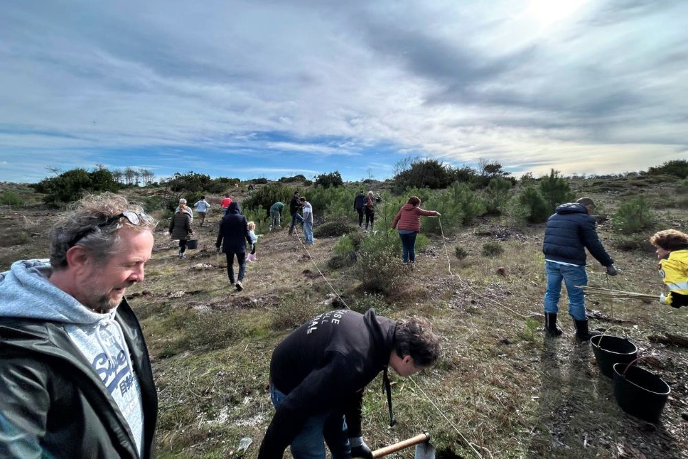 "Replantar para Acelerar o Futuro!" – Sucesso na Ação de Reflorestação no Pinhal de Leiria